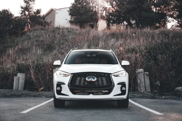 카지노 로열 판다 안드로이드/iOS 앱